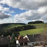 Hotel Alpina Loewen 5*