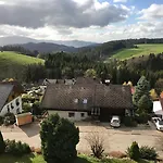 Alpina Loewen Hotel