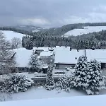 Hotel Alpina Loewen Sankt Märgen