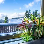 Alpina Loewen 5* Sankt Märgen