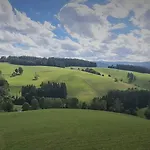Alpina Loewen Hotel 5*