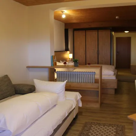 Alpina Loewen 5* Санкт-Мерген