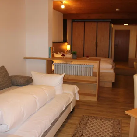 Alpina Loewen 5* Санкт-Мерген