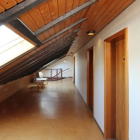 Alpina Loewen Отель