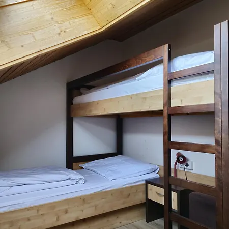 Отель Alpina Loewen 5*