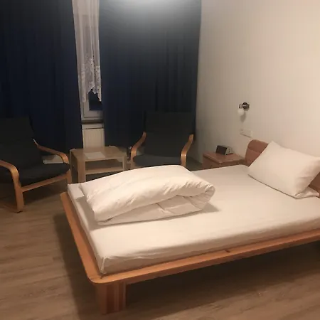 Отель Alpina Loewen