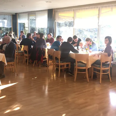 Alpina Loewen Санкт-Мерген