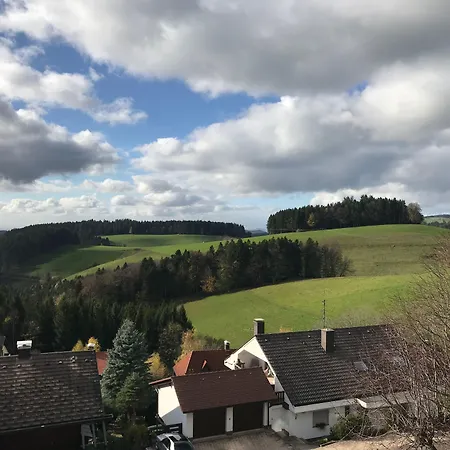 Отель Alpina Loewen 5*