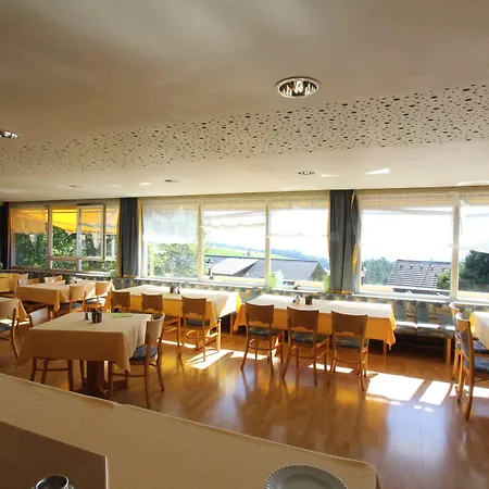 Hotel Alpina Loewen Hotel 5*