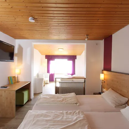 Alpina Loewen Hotel 5*