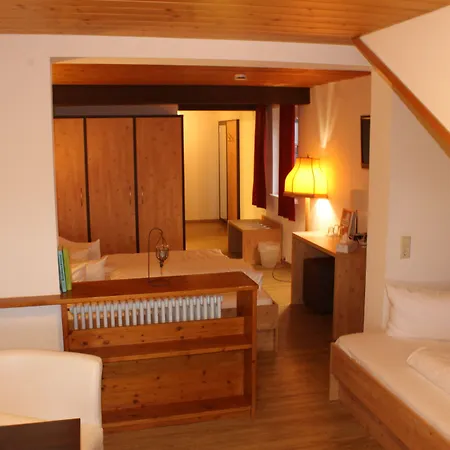 Alpina Loewen Отель Санкт-Мерген