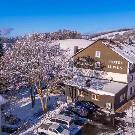 Hotel Alpina Loewen Hotel