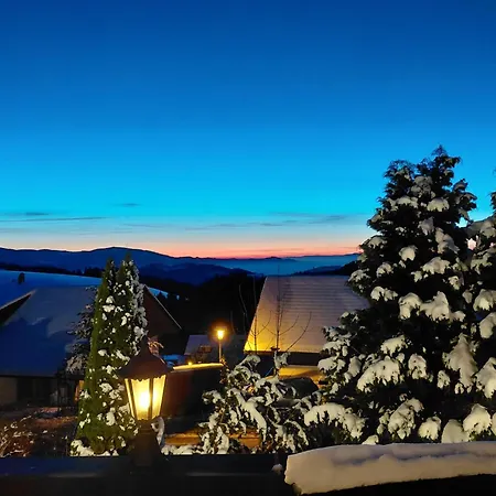 Отель Alpina Loewen Санкт-Мерген