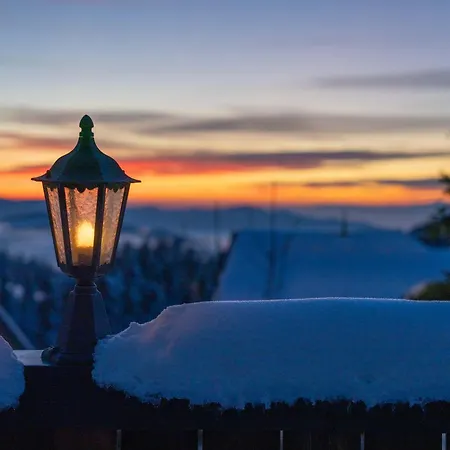 Alpina Loewen Hotel 5* Sankt Margen