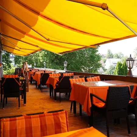 Alpina Loewen Отель