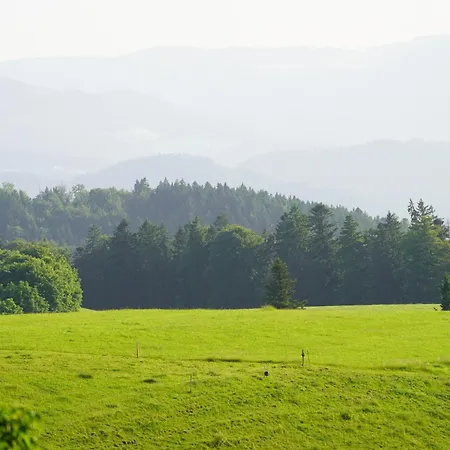 Alpina Loewen Отель