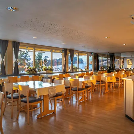 Отель Alpina Loewen