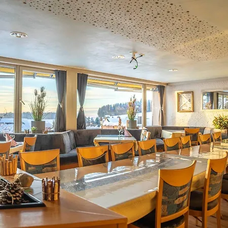 Hotel Alpina Loewen Hotel