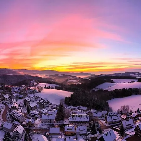 Alpina Loewen 5* Санкт-Мерген