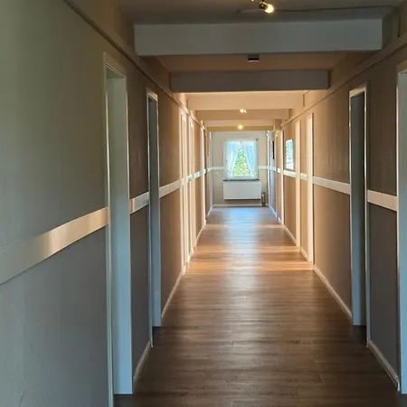 Alpina Loewen Отель Санкт-Мерген