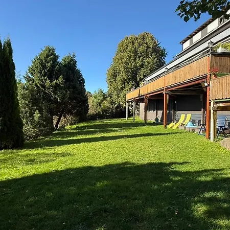 Отель Alpina Loewen