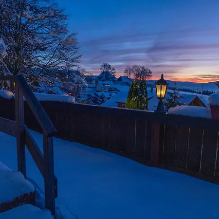 Отель Alpina Loewen Санкт-Мерген