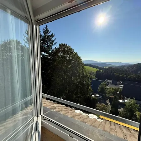 Alpina Loewen Отель Санкт-Мерген