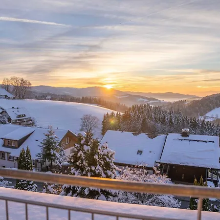 Alpina Loewen 酒店