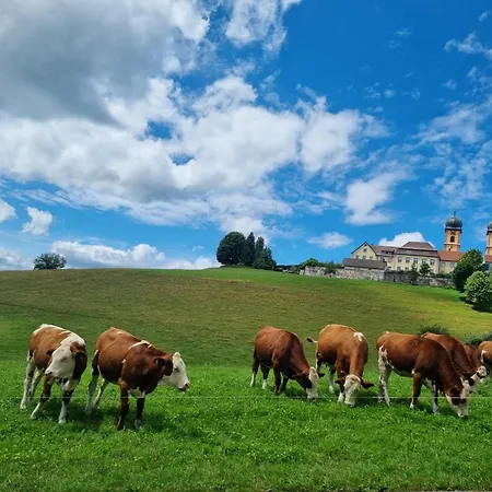 Alpina Loewen 5* 圣玛尔根