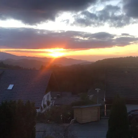 Отель Alpina Loewen Санкт-Мерген