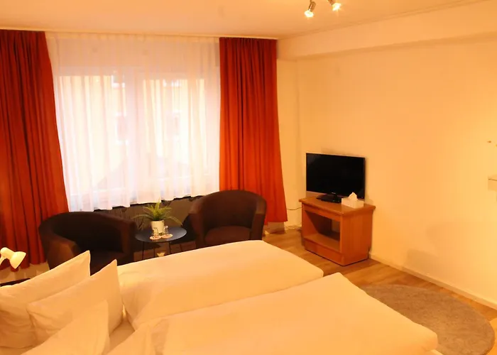 酒店 Alpina Loewen 5*