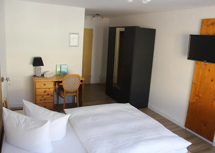 Alpina Loewen 酒店 5*