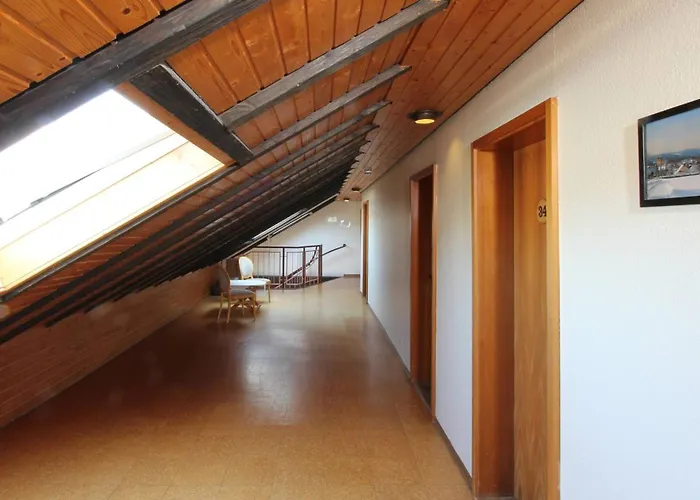 Alpina Loewen 酒店