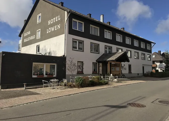 酒店 Alpina Loewen 5*