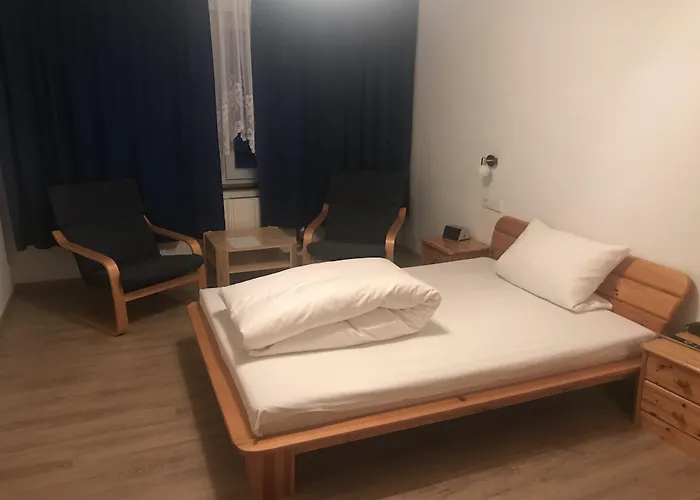 酒店 Alpina Loewen