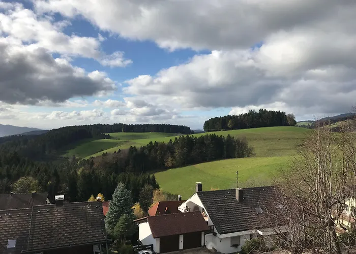 酒店 Alpina Loewen 5*