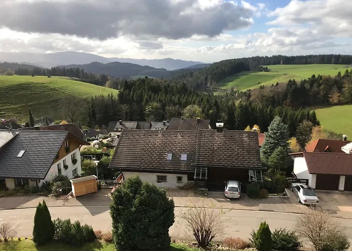 Alpina Loewen 酒店