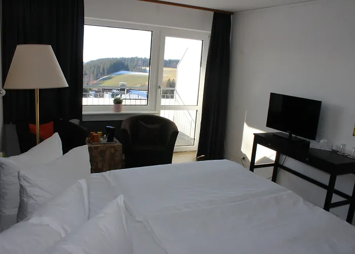 Hotel Alpina Loewen Hotel 5*