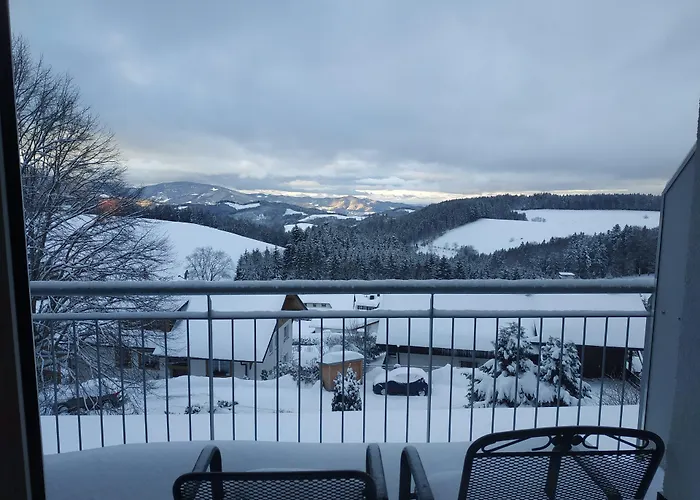 Alpina Loewen 酒店 5*