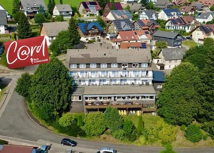 Alpina Loewen Hotel Hotel 5*