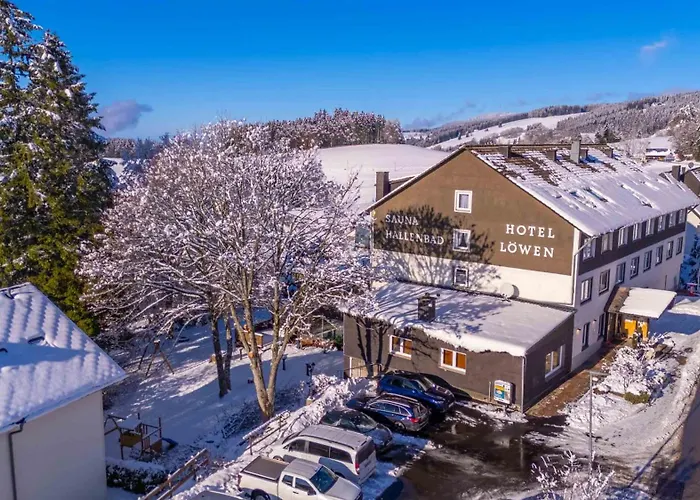 酒店 Alpina Loewen