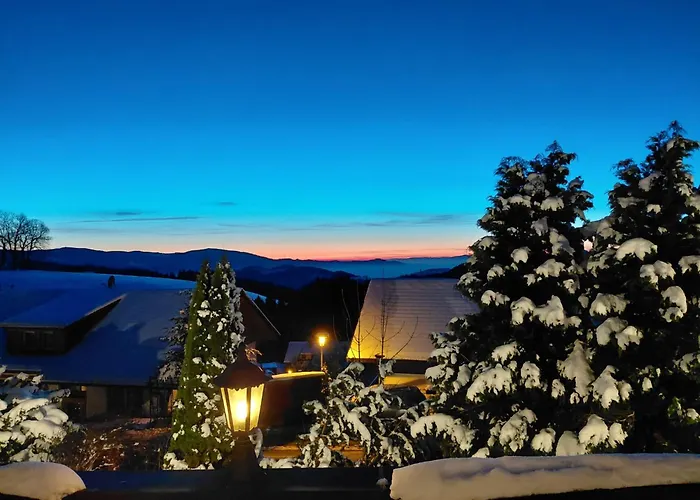 酒店 Alpina Loewen 圣玛尔根