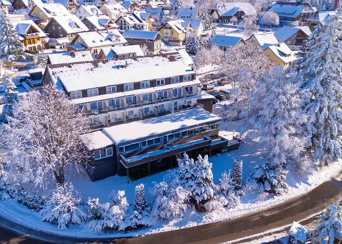 Alpina Loewen 酒店 圣玛尔根