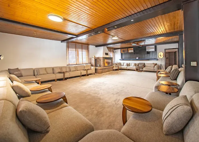 酒店 Alpina Loewen