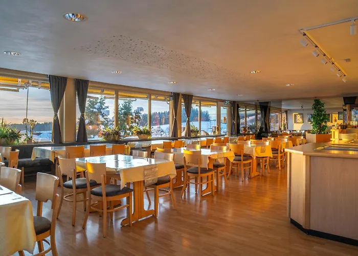 酒店 Alpina Loewen