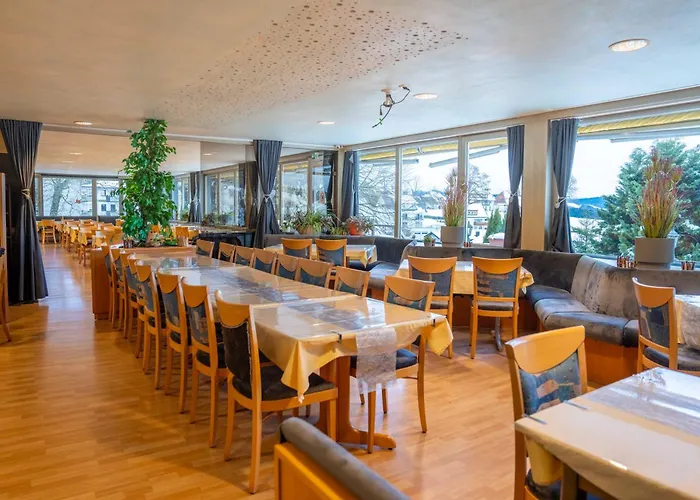 Alpina Loewen 酒店 5*