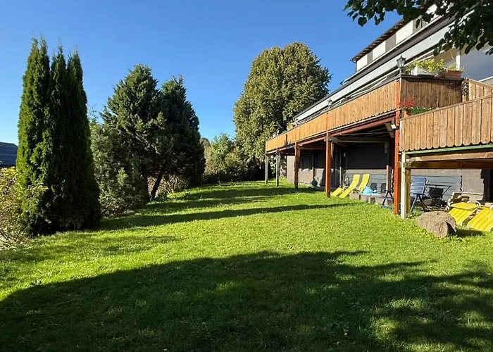 酒店 Alpina Loewen