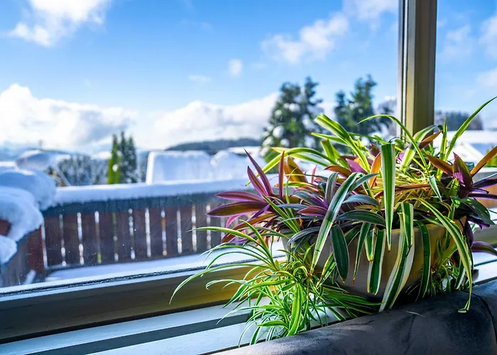 Alpina Loewen 5* 圣玛尔根