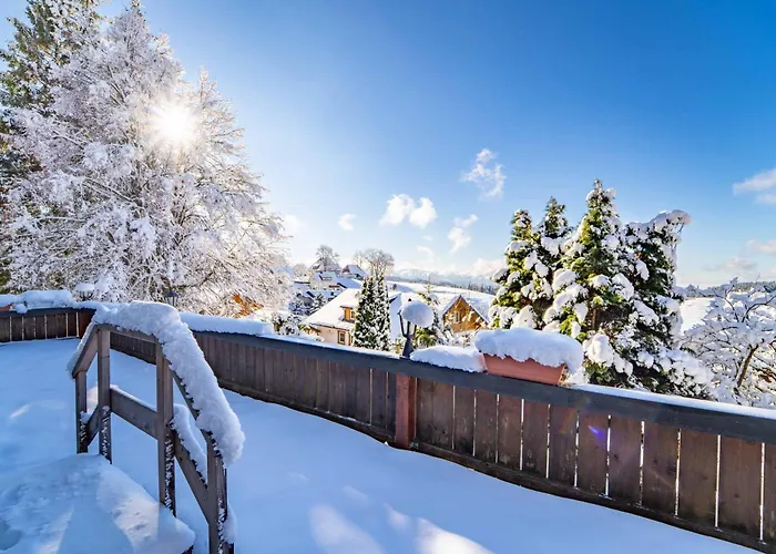 Alpina Loewen 酒店