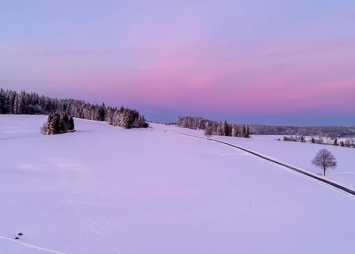 Alpina Loewen 酒店